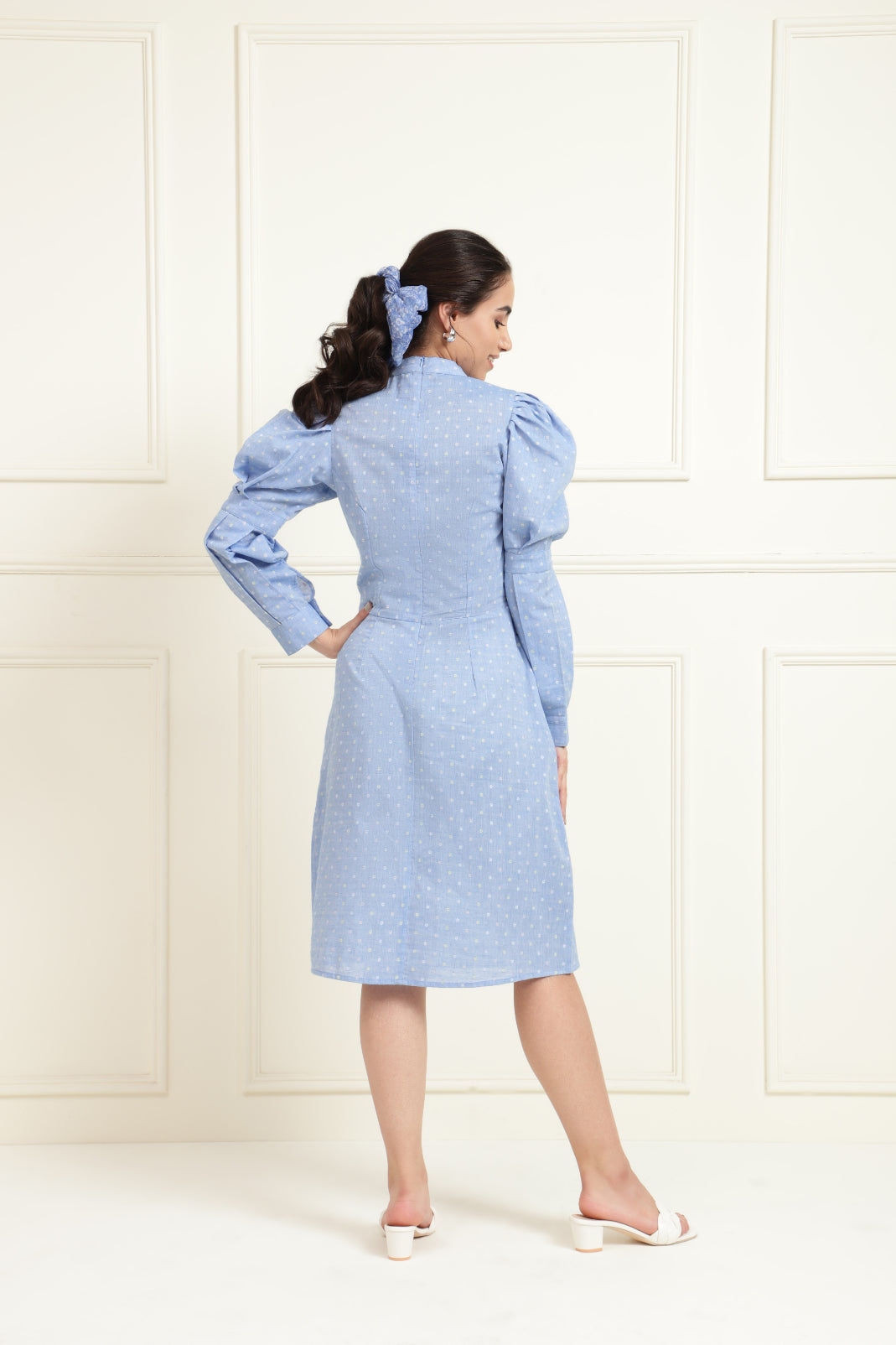 Chambray Dobby Structured Stylised Dress Sanaita